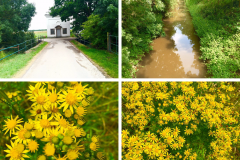 Hubertus Kappelle -15